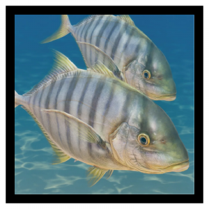 Zzzzz 1785245186trevally — Planet Zoo 2 Animals option 57