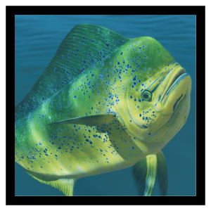 Zzzzz 1785849416dolphinfish — Planet Zoo 2 Animals option 36