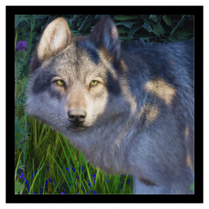 Zzzzz 1785849416greywolf — Planet Zoo 2 Animals option 62