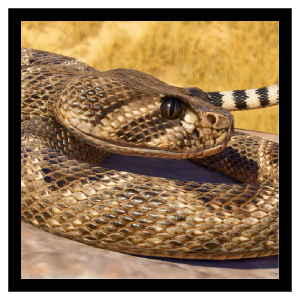 Zzzzz 1786457927diamondback — Planet Zoo 2 Animals option 124