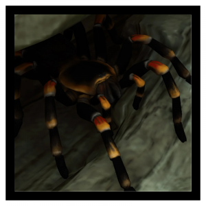 Zzzzz 1787062145mexicanredknee — Planet Zoo 2 Animals option 81