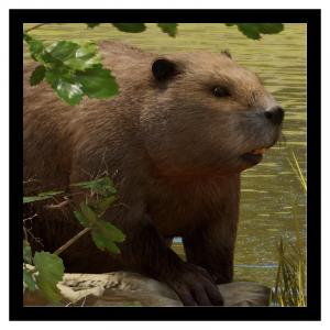 Zzzzz 1787666812beav — Planet Zoo 2 Animals option 38
