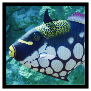 Zzzzz 1787666812clowntrigger — Planet Zoo 2 Animals option 27