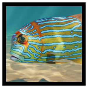 Zzzzz 1787666812sailfin — Planet Zoo 2 Animals option 104