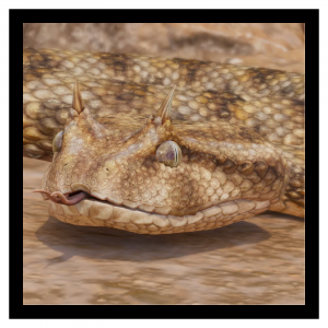 Zzzzz 1788272009hornedviper — Planet Zoo 2 Animals option 34