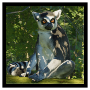 Zzzzz 1788272009ringtail — Planet Zoo 2 Animals option 101
