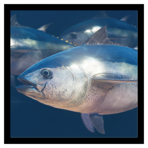 Zzzzz 1788272009tuna — Planet Zoo 2 Animals option 91