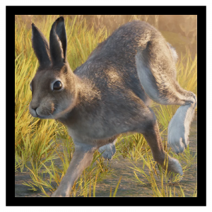 Zzzzz 1788272293hare — Planet Zoo 2 Animals option 84