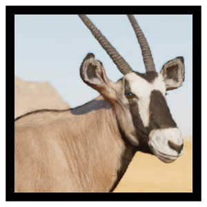 Zzzzz 1788463450gemsbok — Planet Zoo 2 Animals option 46