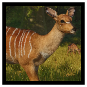 Zzzzz 1788877137nyala — Planet Zoo 2 Animals option 87