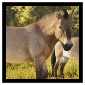 Zzzzz 1788877137wildhorse — Planet Zoo 2 Animals option 95
