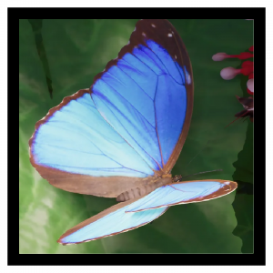 Zzzzz 1788877138bluemorpho — Planet Zoo 2 Animals option 80