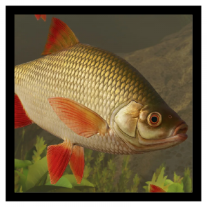 Zzzzz 1788877138commonrudd — Planet Zoo 2 Animals option 31
