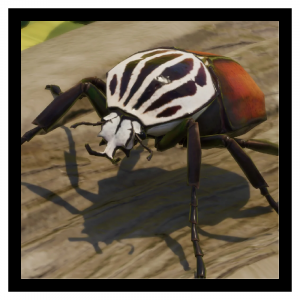 Zzzzz 1789481542goliathbeet — Planet Zoo 2 Animals option 58