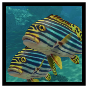 Zzzzz 1789481542sweetlips — Planet Zoo 2 Animals option 66