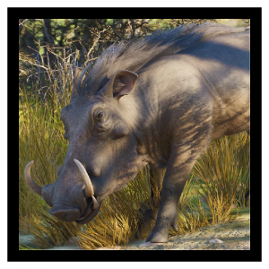 Zzzzz 1789481542warthog — Planet Zoo 2 Animals option 32