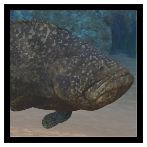 Zzzzz 1790086031gigroup — Planet Zoo 2 Animals option 50