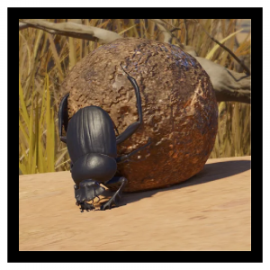 Zzzzz 1790086031scarab — Planet Zoo 2 Animals option 103
