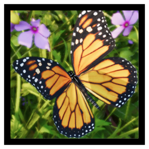 Zzzzz 1790692689monarch — Planet Zoo 2 Animals option 82