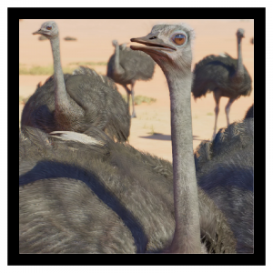 Zzzzz 1790692689ostrich — Planet Zoo 2 Animals option 30