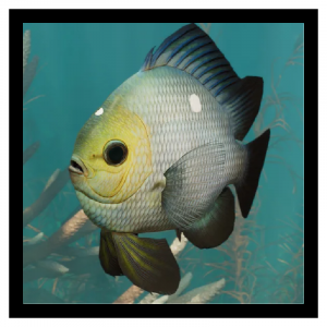 Zzzzz 1790692689threespot — Planet Zoo 2 Animals option 120