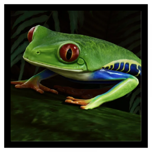 Zzzzz 1791297647treefrog — Planet Zoo 2 Animals option 99