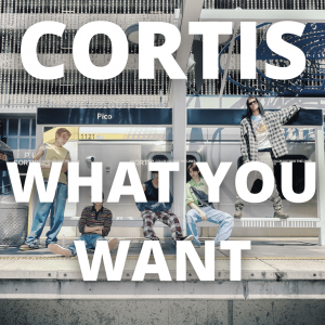 Zzzzz 1766242219what I Want — 2025 kpop songs option 240
