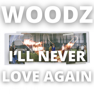 Zzzzz 1766255901ill Never Love Again — 2025 kpop songs option 291