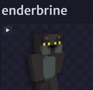 Enderbrinepng — Minecraft Archers Tier List (2023) option 25
