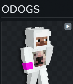 Odogs — Minecraft Archers Tier List (2023) option 53