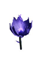 Zzzzz 1753206116img2147 — Roblox The Depths Of Reality items option 135