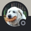 Capture12png — Cherry cool chunguscord option 8