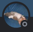 Capture25png — Cherry cool chunguscord option 19