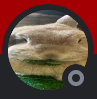 Capture9000png — Cherry cool chunguscord option 33