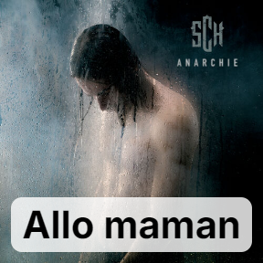 Anarchie 8 Allo Maman — SCH Discographie option 31