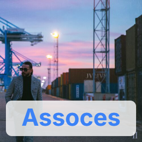 Jvlivs Ii 11 Assoces — SCH Discographie option 87