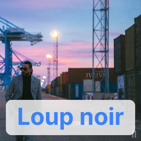 Jvlivs Ii 19 Loup Noir — SCH Discographie option 95