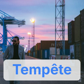 Jvlivs Ii 21 Tempete — SCH Discographie option 98