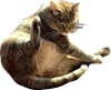 Zzzzz 1705434468img3284 — Animatic Battle option 36