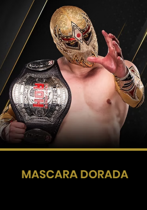 Mascara Dorada — AEW Roster (as of All In 2026) option 112