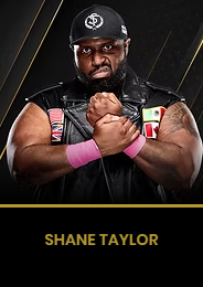 Shane Taylor — AEW Roster (as of All In 2026) option 160