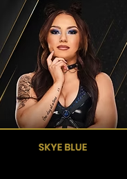 Sky Blue — AEW Roster (as of All In 2026) option 163