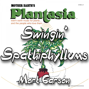 Zzzzz 1787983690swingin Spathiphyllums Mort Garson — The Boys Vol 2 Playlist option 134