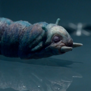 Zzzzz 1748449074memory Worm — Doctor Who Monsters/Aliens/Villains option 558