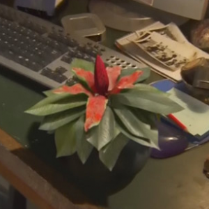 Zzzzz 1779806716rakweed2 — Doctor Who Monsters/Aliens/Villains option 810