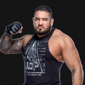 Aop01202020rf016profile 14f6df90b8a79147f9d2ccc456ffb376 — WWE Superstars (2024) option 12
