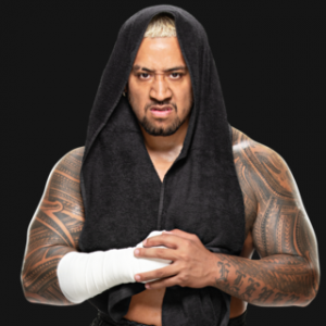 Solosikoapro C4b462cd8220e3e720a376fcc3486bff — WWE Superstars (2024) option 160