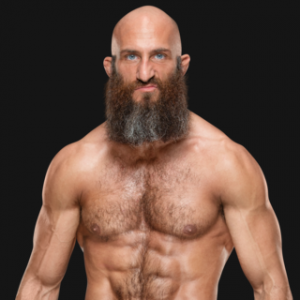 Tommasopro F883608f32c8af25f624174391141774 — WWE Superstars (2024) option 173