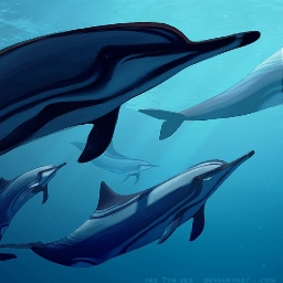 Zzzzz 1732333845dolphin — Pagan Map Season 4 Players option 94