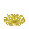 Horncoralfanje1be2 — Minecraft All Blocks Tierlist (1.21) option 404